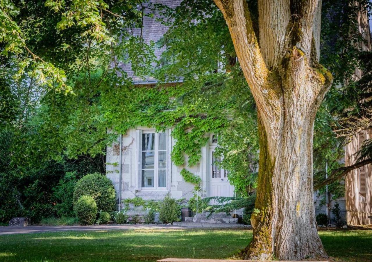 Domaine De La Tortiniere Ξενοδοχείο Veigné Εξωτερικό φωτογραφία